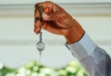 aditya basal front yk3z7z