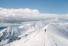 blue icicle pruner tool