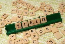 dividend yield management group