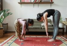 icic prudential flex plan