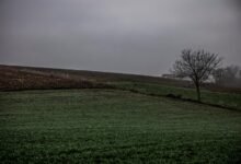 mira assembly large input