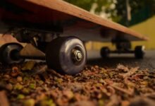 nip indian flex model