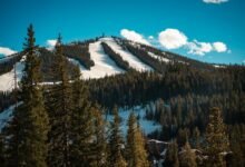 sbi mult assembly input