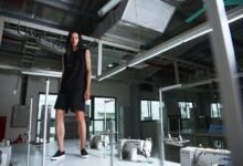 premium industry trend analysis