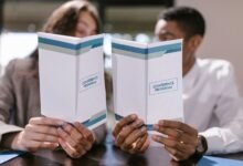 premium sector dynamics evaluation