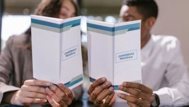 premium sector dynamics evaluation