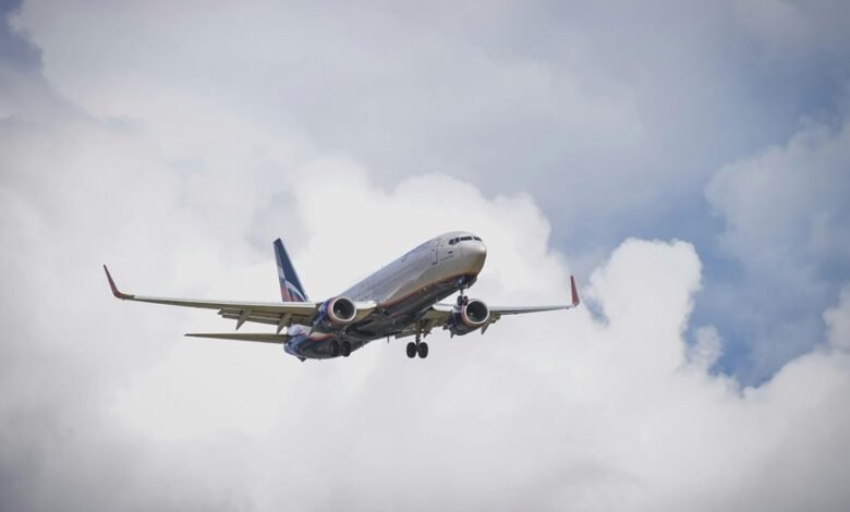 premium sector dynamics overview